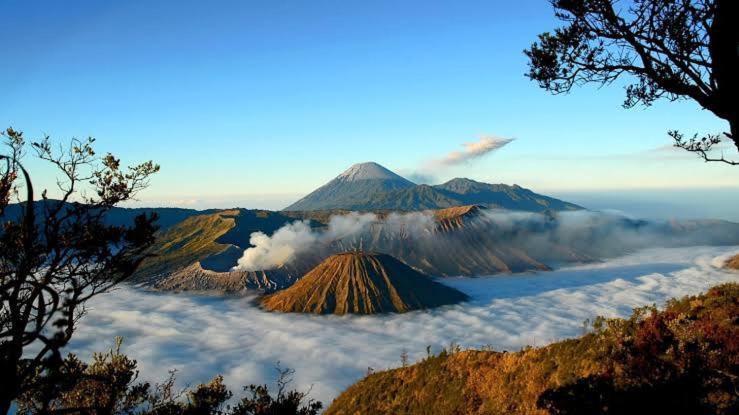 Homestay Gigafa Probolinggo
